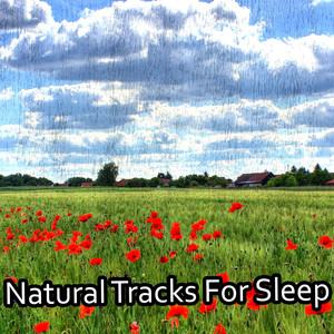 Natural Tracks For Sleep album