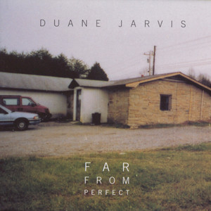 Far from Perfect cover