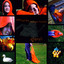 Behind the Orange Hoody Albumcover