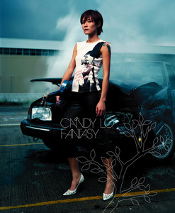 fantasy cover