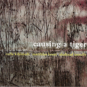 Causing a Tiger cover