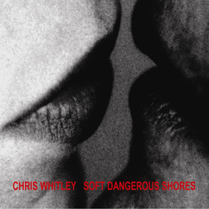 Soft Dangerous Shores album