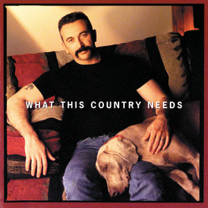 What This Country Needs album