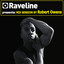 Raveline Mix Session By Robert Owens cover