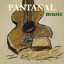 Pantanal Music cover