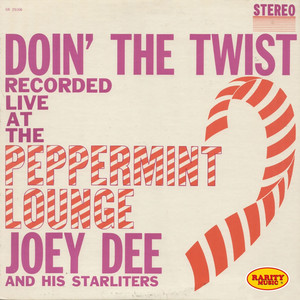 Doin' the Twist cover