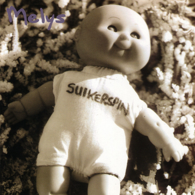 Suikerspin cover