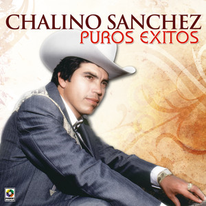 Puros Exitos album