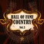 Hall of Fame Country Vol.3 Albumcover