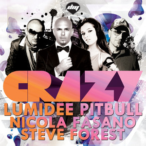 Crazy (Lumidee Vs Nicola Fasano & Steve Forest) album
