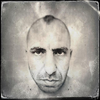 Omri Levy Photo