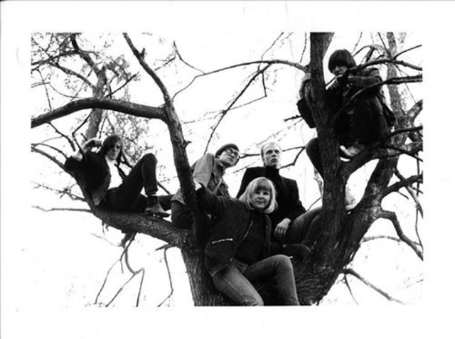 The Stomachmouths Photo