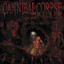 Torture cover