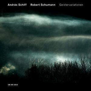 Robert Schumann cover