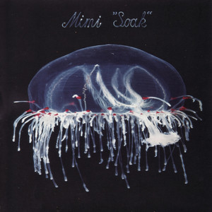 Soak album