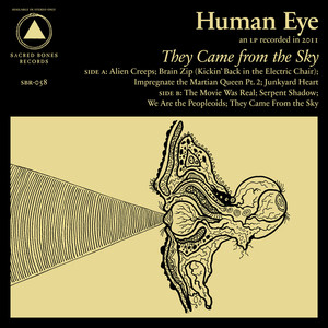 They Came From the Sky cover