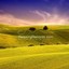 Relaxing Music : World of Ultimate Relaxation Albumcover