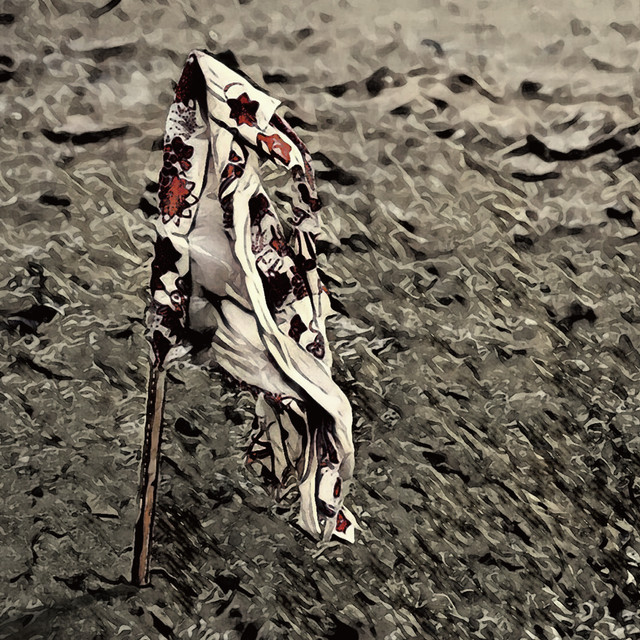 otetsu Photo