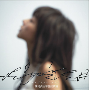華麗的冒險 cover