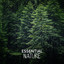 45 Essential Nature cover