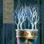Downe In Yon Forrest (Christmas From The Middle Ages) Albumcover