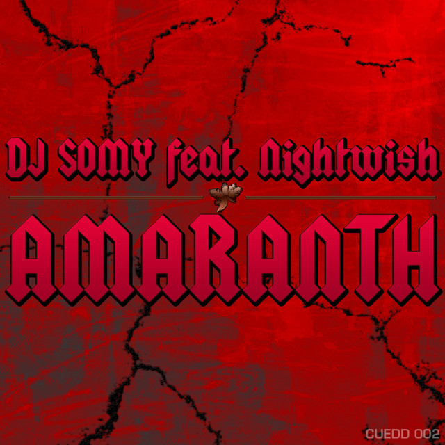 DJ Somy Photo