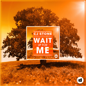 Wait up for Me album