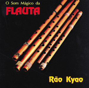 O Som Magico Da Flauta album