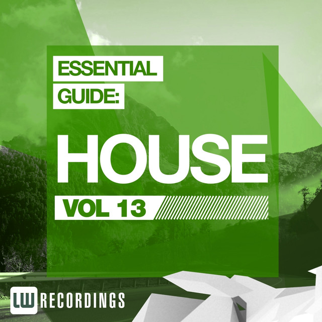 Essential Guide: House, Vol. 13 Albumcover