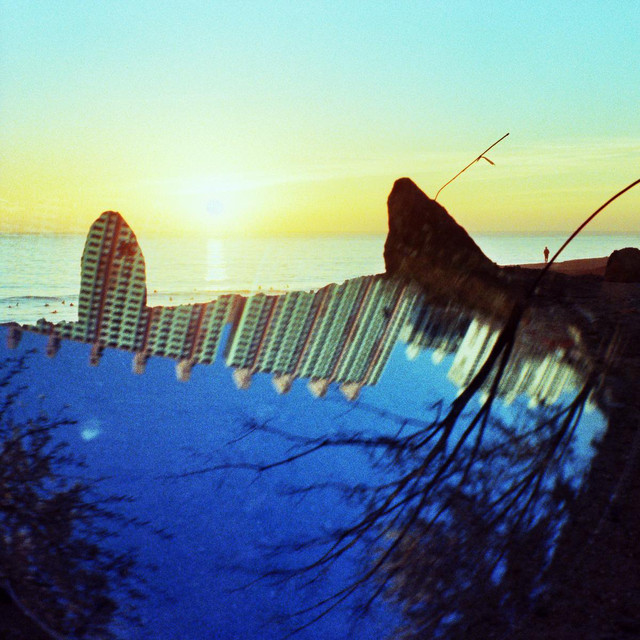 Dawn Chorus Ignites photo