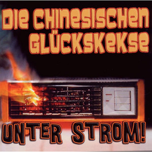 Die Chinesischen Gl&uuml;ckskekse