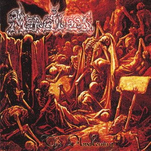 The Awakening cover