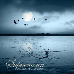 Moonlight Dreaming