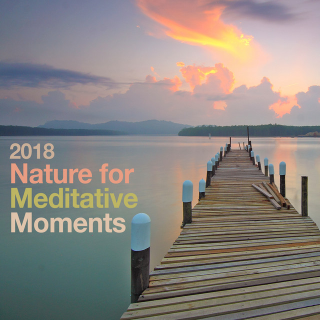 2018 Nature for Meditative Moments