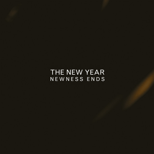 Newness Ends cover