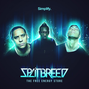 The Free Energy Store cover