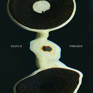 Forsaken cover