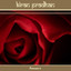 Romance Albumcover