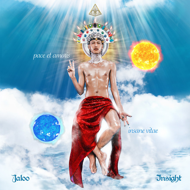 Insight cover