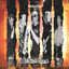 The Barracudas cover