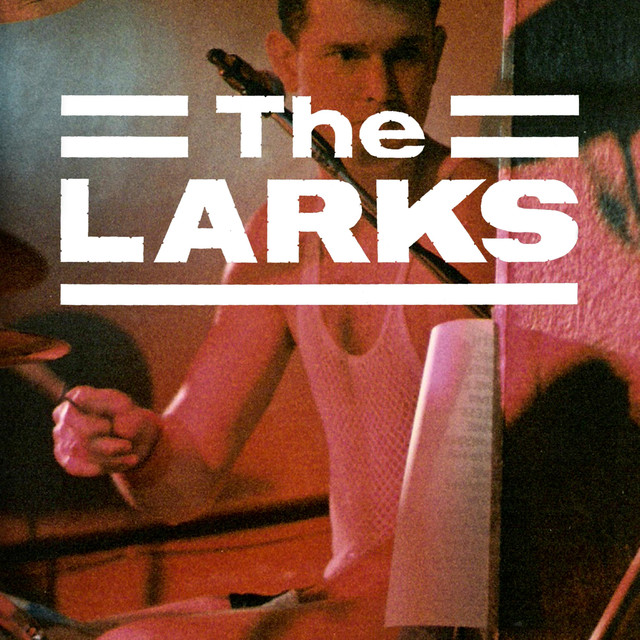 The Larks Live In Leicester cover