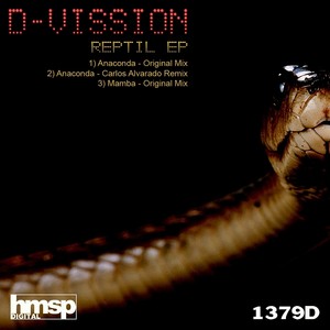 D Vission