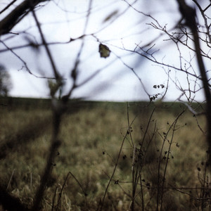 The Cycle of Days and Seasons album