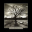 After the Storm Albumcover