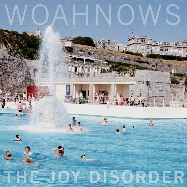 The Joy Disorder cover