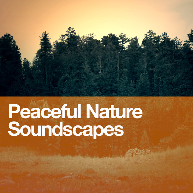 Peaceful Nature Soundscapes Albumcover