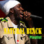 Natural Black : Playlist cover