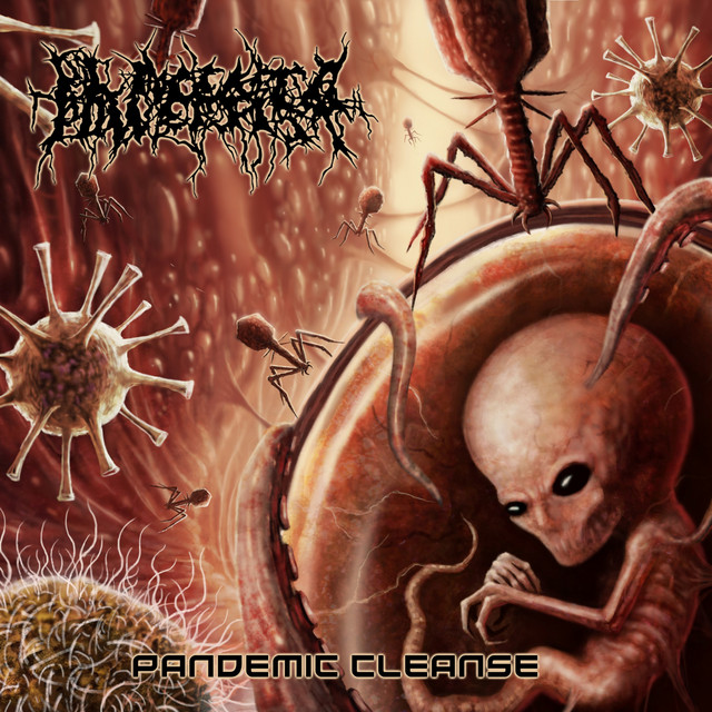 Placenta Powerfist Photo