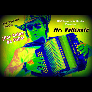 Mr. Vallenato