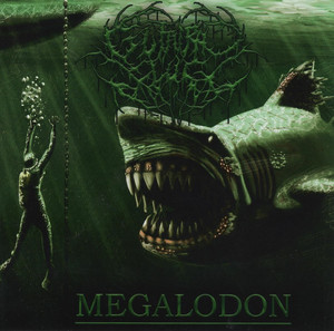 Megalodon cover